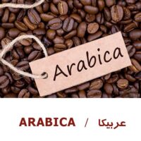 arabica