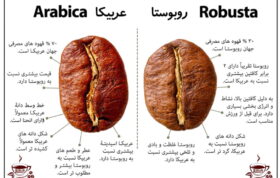 robusta vs arabica coffee